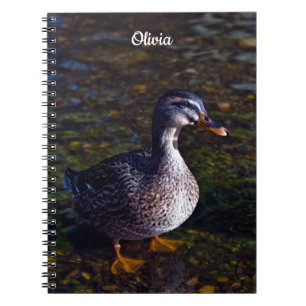 Caderno Espiral Mallard Duck Spiral notebook