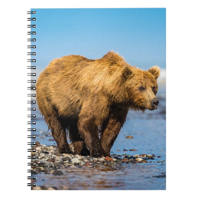 Caderno Espiral Mamãe urso observando seus dois filhos (Frente)