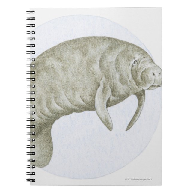 Caderno Espiral Manatee (Frente)