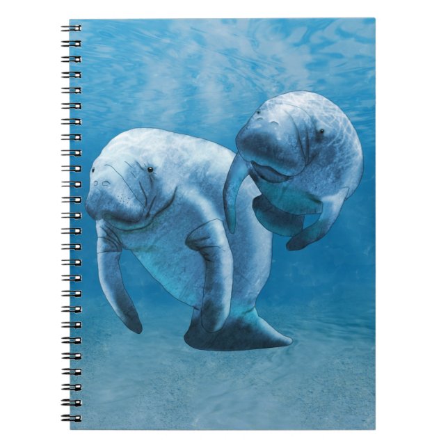 Caderno Espiral Manatees (Frente)