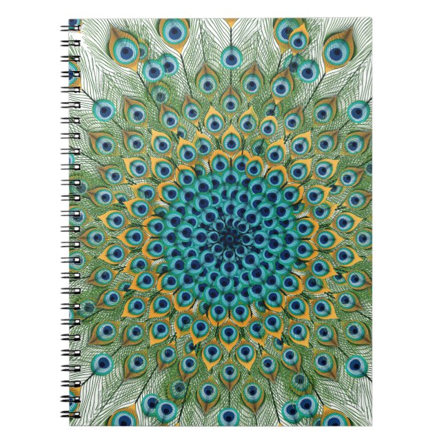 Caderno Espiral Mandala colorida do pavão masculino (Frente)