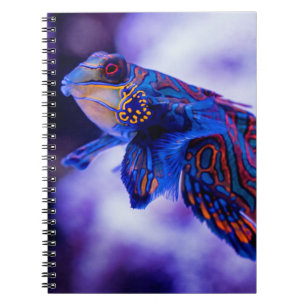 Caderno Espiral Mandarin Goby Fish