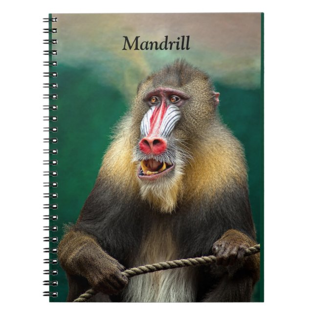 Caderno Espiral Mandrill, África (Frente)