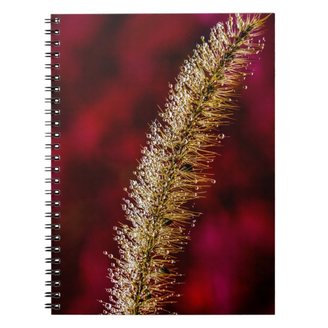 Caderno Espiral Manhã (Frente)