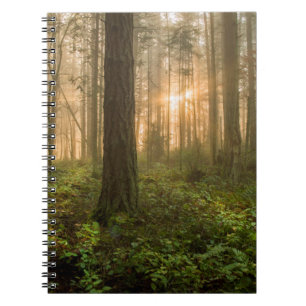 Caderno Espiral Manhã nevoenta noroeste pacífica da floresta  