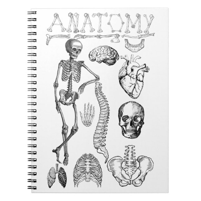 Caderno Espiral Manual da Anatomia Humana para notas (Frente)