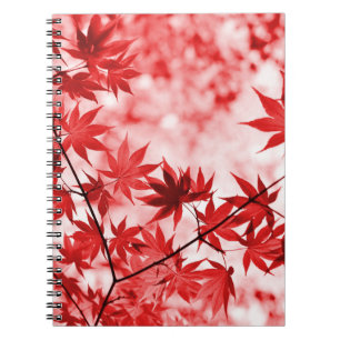 Caderno Espiral Maple Trees Deixa Design