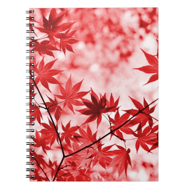 Caderno Espiral Maple Trees Folha Design- 29997 (Frente)
