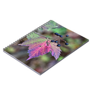 Caderno Espiral Mapleleaf Viburnum Autumn Leaves e Berries