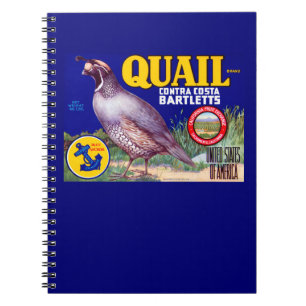 Caderno Espiral Marca Contra Costa Bartletts