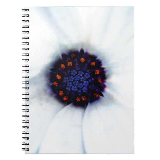 Caderno Espiral Margarida Africana (Frente)