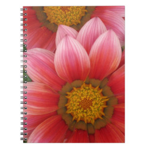 Caderno Espiral margarida africana