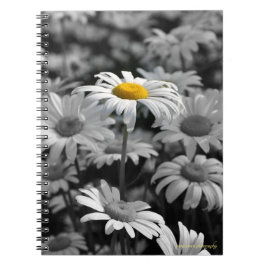 Caderno Espiral Margarida amarela num mar de margaridas pretas e b