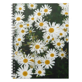 Caderno Espiral Margarida Branca de Oxeye, Moon Daisy Meadow