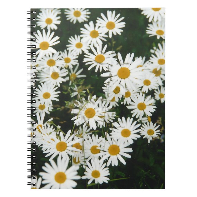 Caderno Espiral Margarida Branca de Oxeye, Moon Daisy Meadow (Frente)