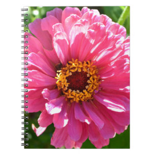 Caderno Espiral Margarida cor-de-rosa floral retrógrada elegante