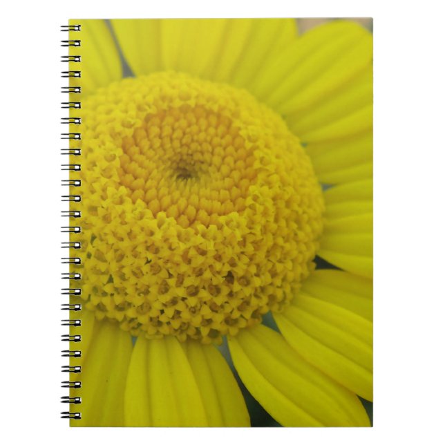 Caderno Espiral Marguerite amarela bonito (Frente)