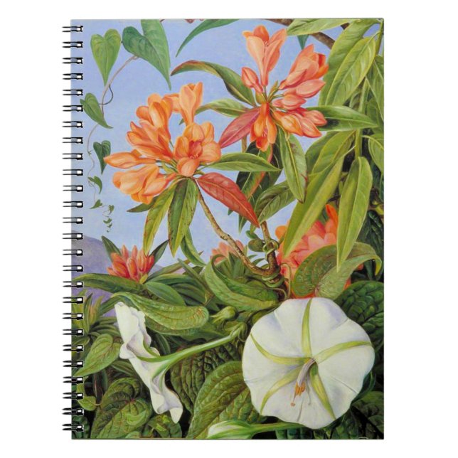 Caderno Espiral Marianne North - Javan Rhododendrum (Frente)
