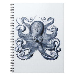 Caderno Espiral Marinho Blue Octopus ilustrado por Ernst Haeckel