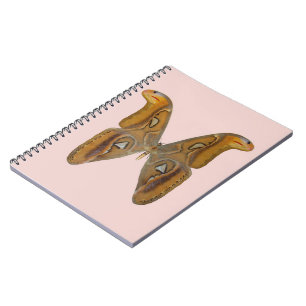 Caderno Espiral Mariposa Atlas