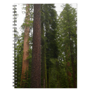 Caderno Espiral Mariposa Grove no Parque Nacional de Yosemite