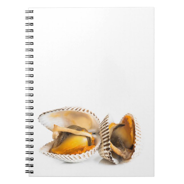 Caderno Espiral Marisco (Frente)