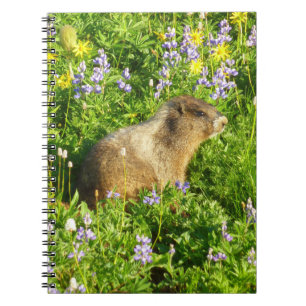 Caderno Espiral Marmot no Monte Rainier Wildflower