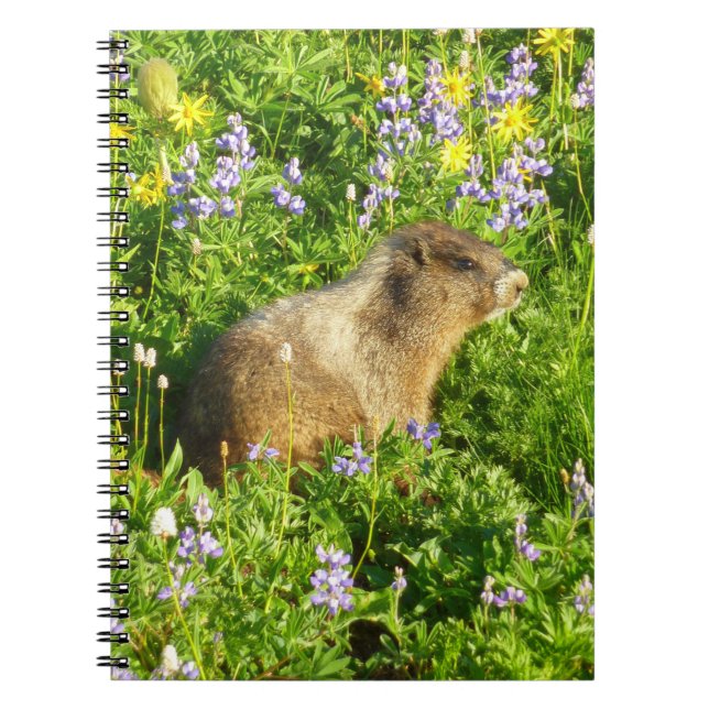 Caderno Espiral Marmot no Monte Rainier Wildflower (Frente)