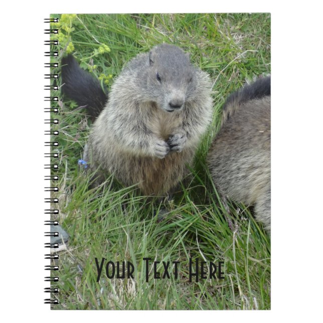 Caderno Espiral Marmot notebook (Frente)