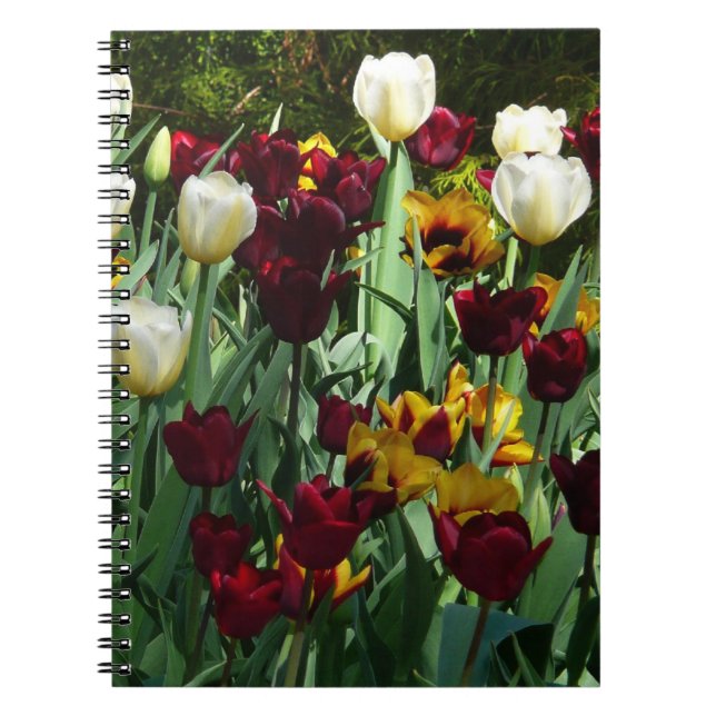 Caderno Espiral Maroon e Tulipas Amarelas Palidez Colorida (Frente)
