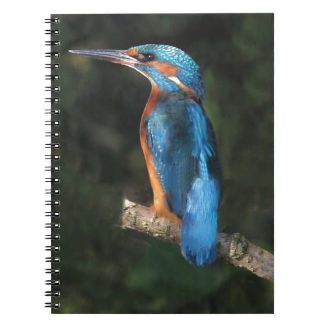 Caderno Espiral Martinho pescatore (Frente)