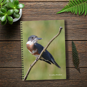Caderno Espiral Martinho pescatore cercado da fêmea para fora em
