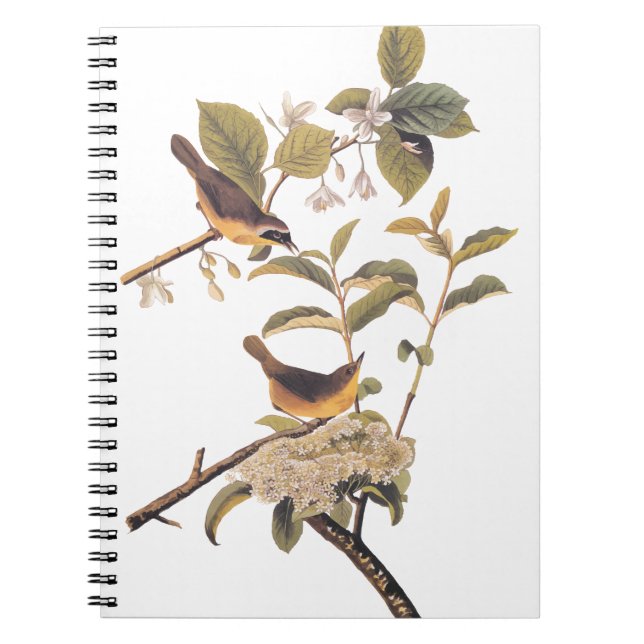 Caderno Espiral Maryland Yellowthroat Audubon Birds em Olive Tree (Frente)
