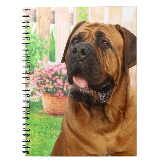 Caderno Espiral Mastiff do Bordéus (Frente)