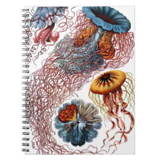 Caderno Espiral Medusas por Ernst Haeckel