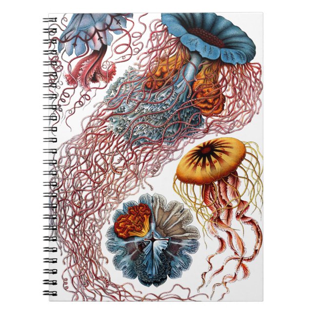 Caderno Espiral Medusas por Ernst Haeckel (Frente)
