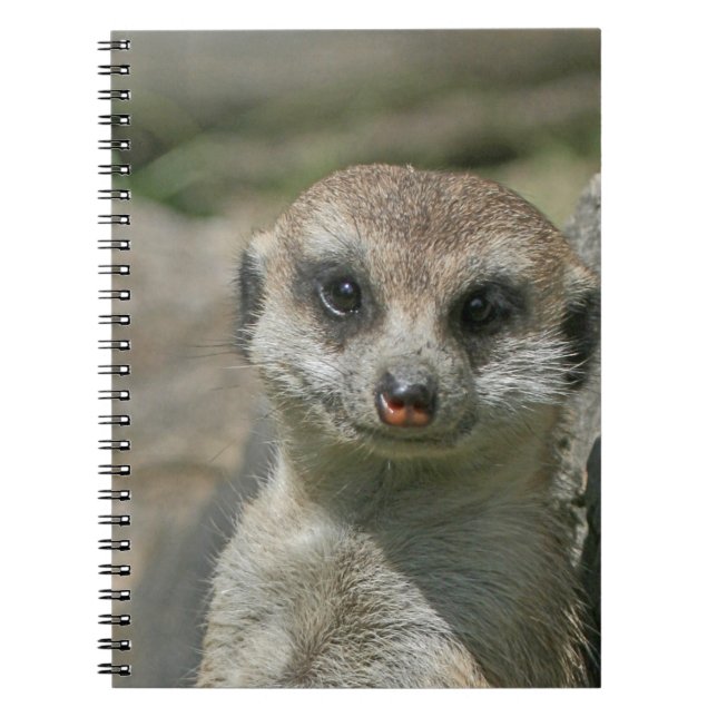 Caderno Espiral Meerkat 005 (Frente)