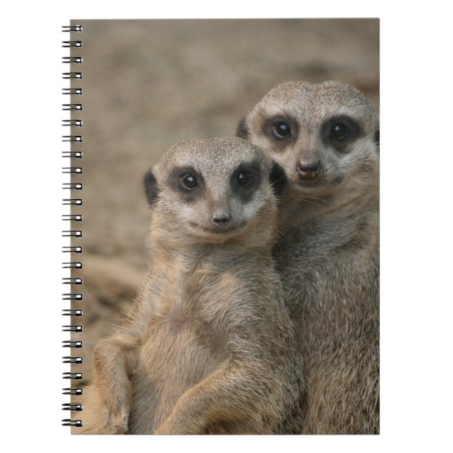 Caderno Espiral Meerkat 090 (Frente)