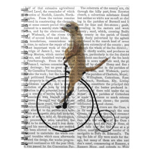 Caderno Espiral Meerkat em Black Penny Farthing