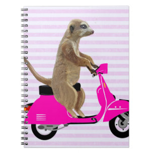 Caderno Espiral Meerkat no Moped Rosa 2
