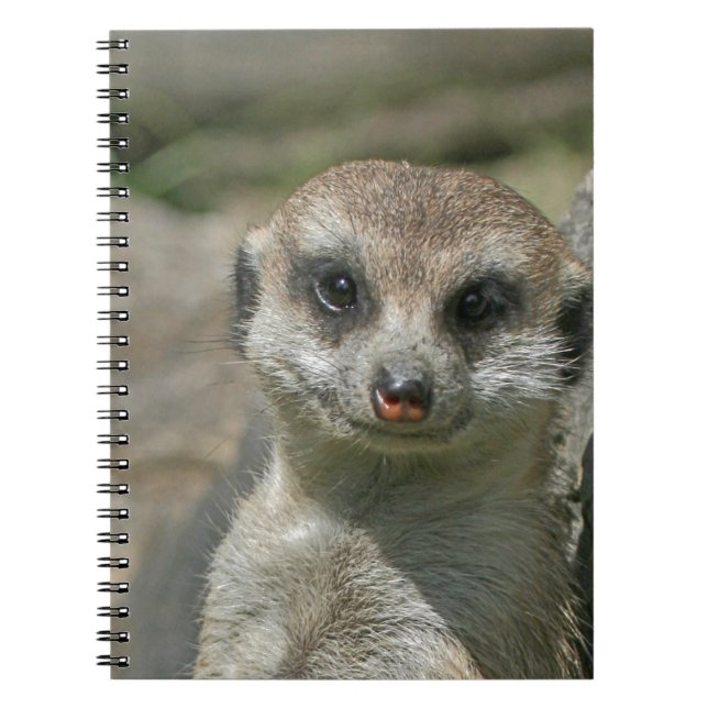 Caderno Espiral Meerkat-retrato 003 (Frente)