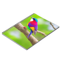 Melhor Seleção de Notebook: Onde Estilo Se Encontr