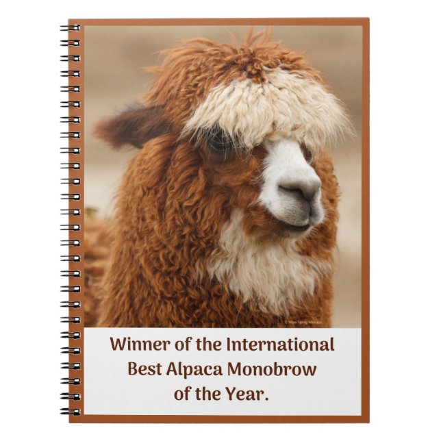 Caderno Espiral Melhor Sobrancelha Unida de Alpaca (Frente)