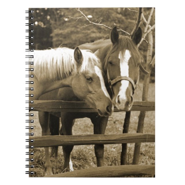 Caderno Espiral Melhores Amigos (Frente)