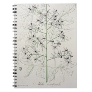 Caderno Espiral Melia Azedarach de "Phytographie Medicale" por Jo