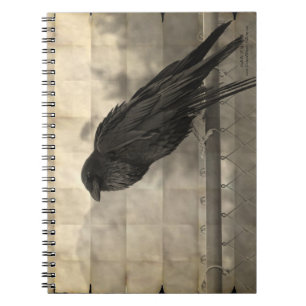 Caderno Espiral Mensageiro (Vintage)