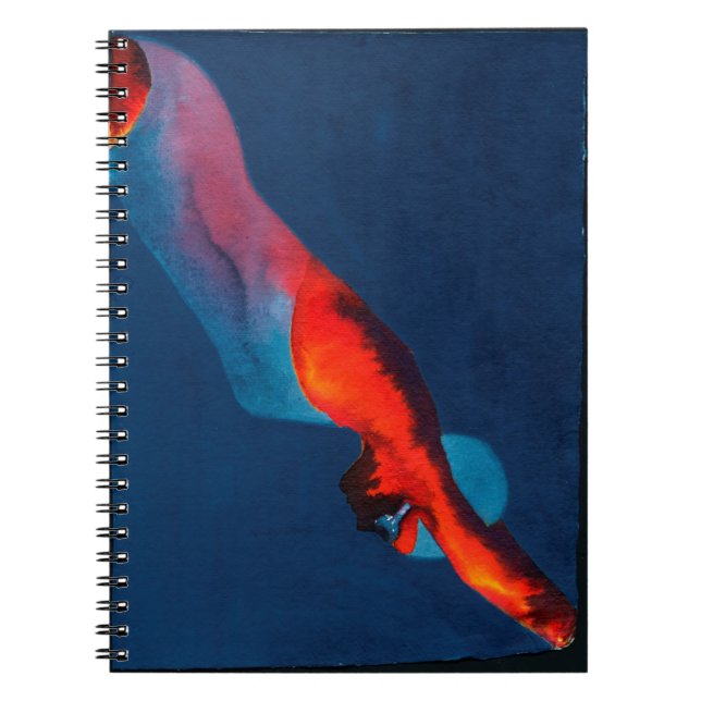 Caderno Espiral Mergulhador 2011 (Frente)