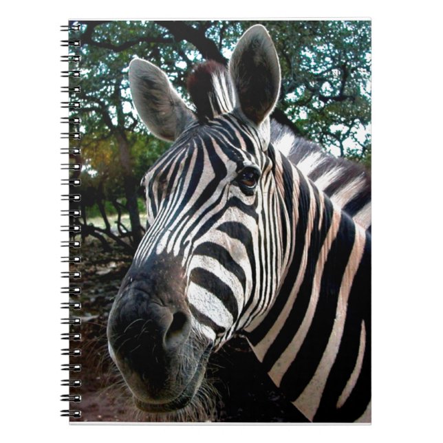 Caderno Espiral Meu Amigo De Disquete (Frente)