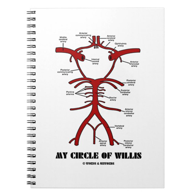 Caderno Espiral Meu Círculo De Willis (Anatômico) (Frente)