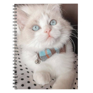 Caderno Espiral meu notebook de gato